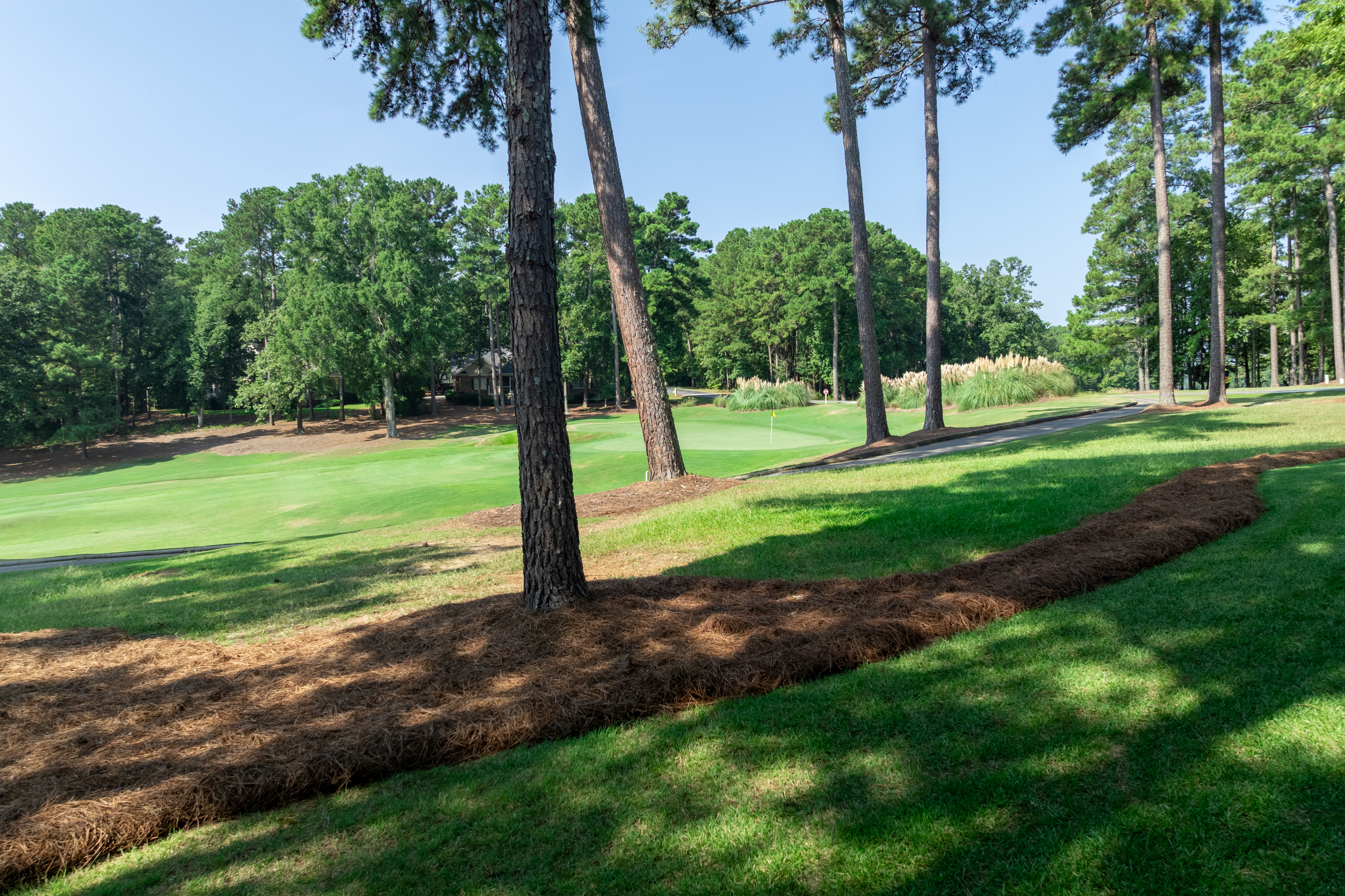 1140 Fairway Ridge Circle image 7
